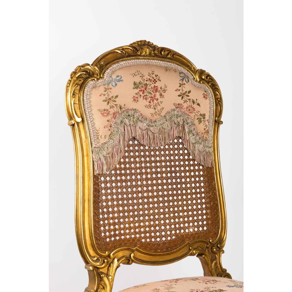 Paire de Chaises roses de Style LouisXV. Période: Napoléon III | Biron Paire de Chaises roses de Style LouisXV. Période: Napoléon III