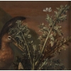 Sous-bois animé – Pieter van der Hulst IV (1651 – 1727)