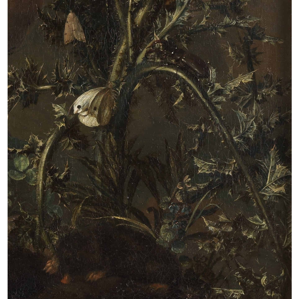 Sous-bois animé – Pieter van der Hulst IV (1651 – 1727)