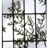 PAIRE DE VITRAUX A LA VEGETATION LUXURIANTE REF V86 | Biron PAIRE DE VITRAUX A LA VEGETATION LUXURIANTE REF V86
