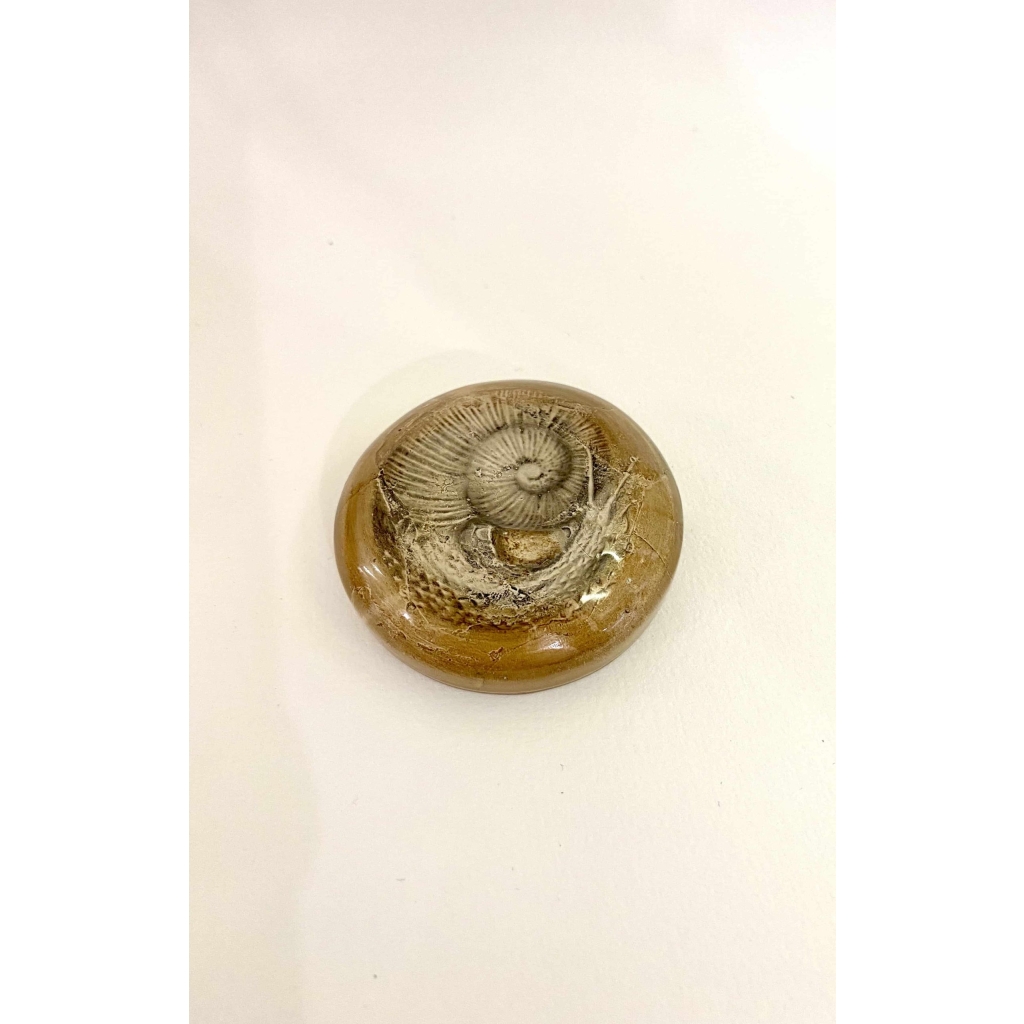 Encrier « Escargots » verre blanc patiné sépia et gris de René LALIQUE | Biron Encrier "Escargots" verre blanc patiné sépia et gris de René LALIQUE