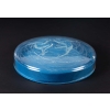 Boîte « Deux Sirènes » verre opalescent – base satin bleu de René LALIQUE | Biron Boîte « Deux Sirènes » verre opalescent - base satin bleu de René LALIQUE