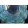 Vase « Moissac » verre opalescent patiné bleu de René LALIQUE | Biron Vase « Moissac » verre opalescent patiné bleu de René LALIQUE