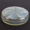 Boîte « Mésanges » verre opalescent de René LALIQUE