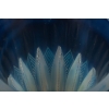 Vase « Gérardmer » verre opalescent de René LALIQUE