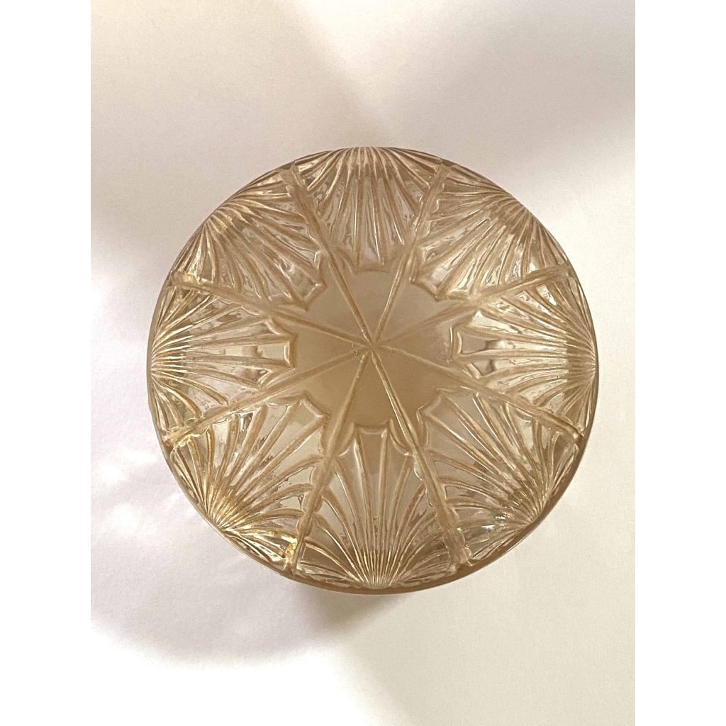 Boîte « Coquilles » verre blanc patiné sépia de René LALIQUE
