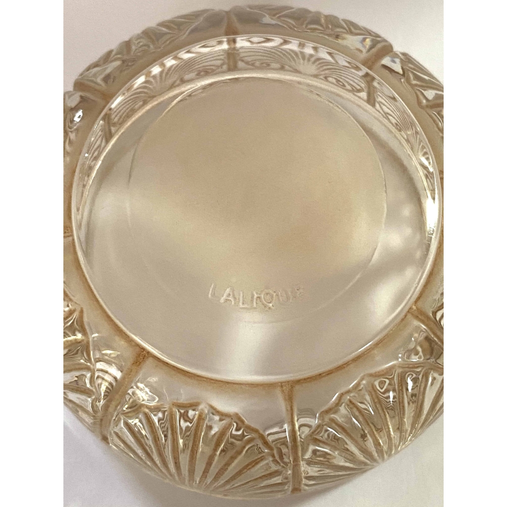 Boîte « Coquilles » verre blanc patiné sépia de René LALIQUE