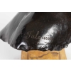 Bronze buste de Diane signé Falguière fondeurs Thiebault Frères | Biron Bronze buste de Diane signé Falguière fondeurs Thiebault Frères
