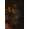 Nature morte aux cerises et melons, XVIII ème siècle. Suiveur de SNYDER