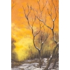 DAUM Nancy : Vase – “Arbres en Hiver” | Biron DAUM Nancy : Vase - “Arbres en Hiver”