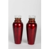 Paire de vases en émail élégants 19e siècle