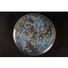 Rene Lalique : Opalescent Box « Muguets » | Biron |||||||