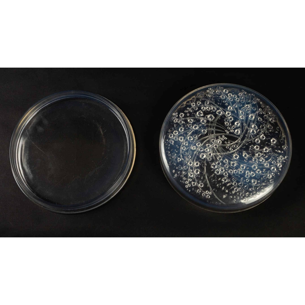 Rene Lalique : Opalescent Box « Muguets » | Biron Rene Lalique : Opalescent Box "Muguets"