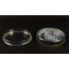 Rene Lalique : Opalescent Box « Muguets » | Biron Rene Lalique : Opalescent Box "Muguets"
