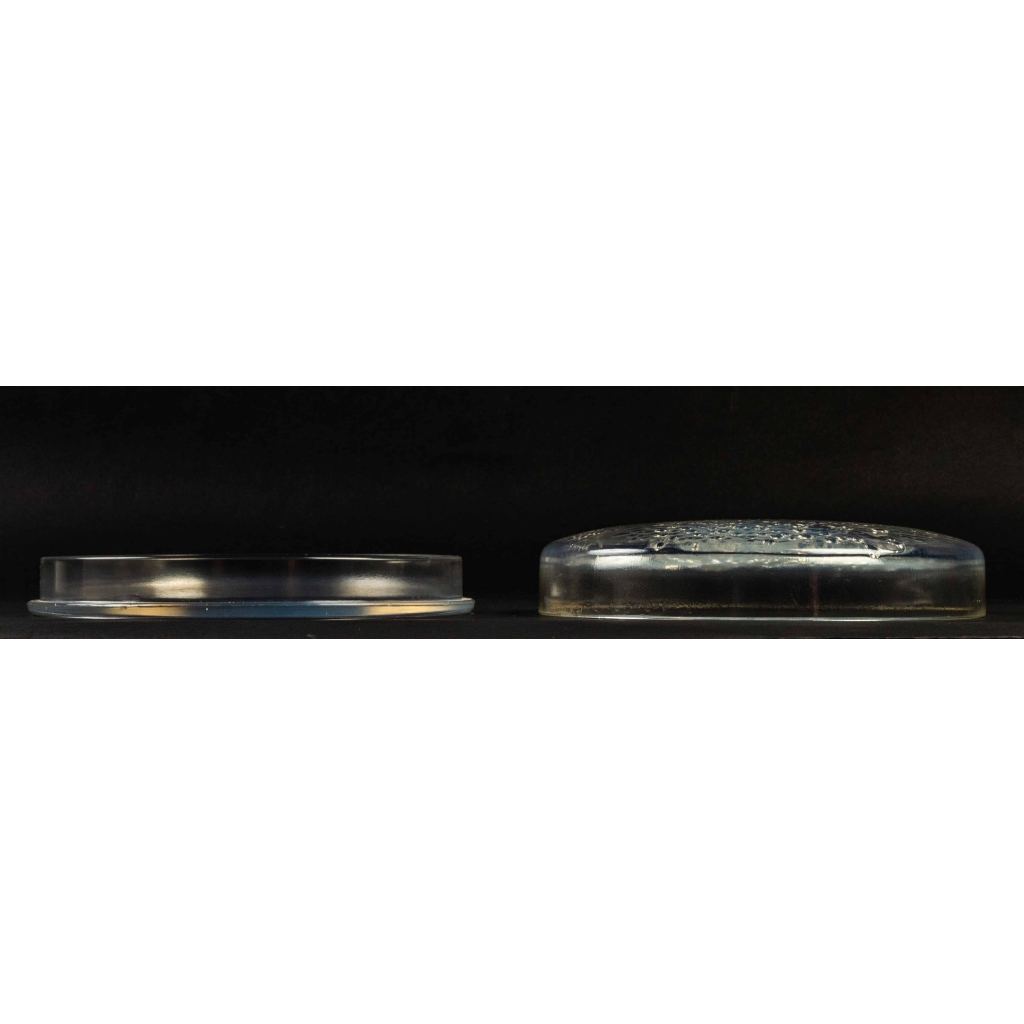 Rene Lalique : Opalescent Box « Muguets » | Biron Rene Lalique : Opalescent Box "Muguets"