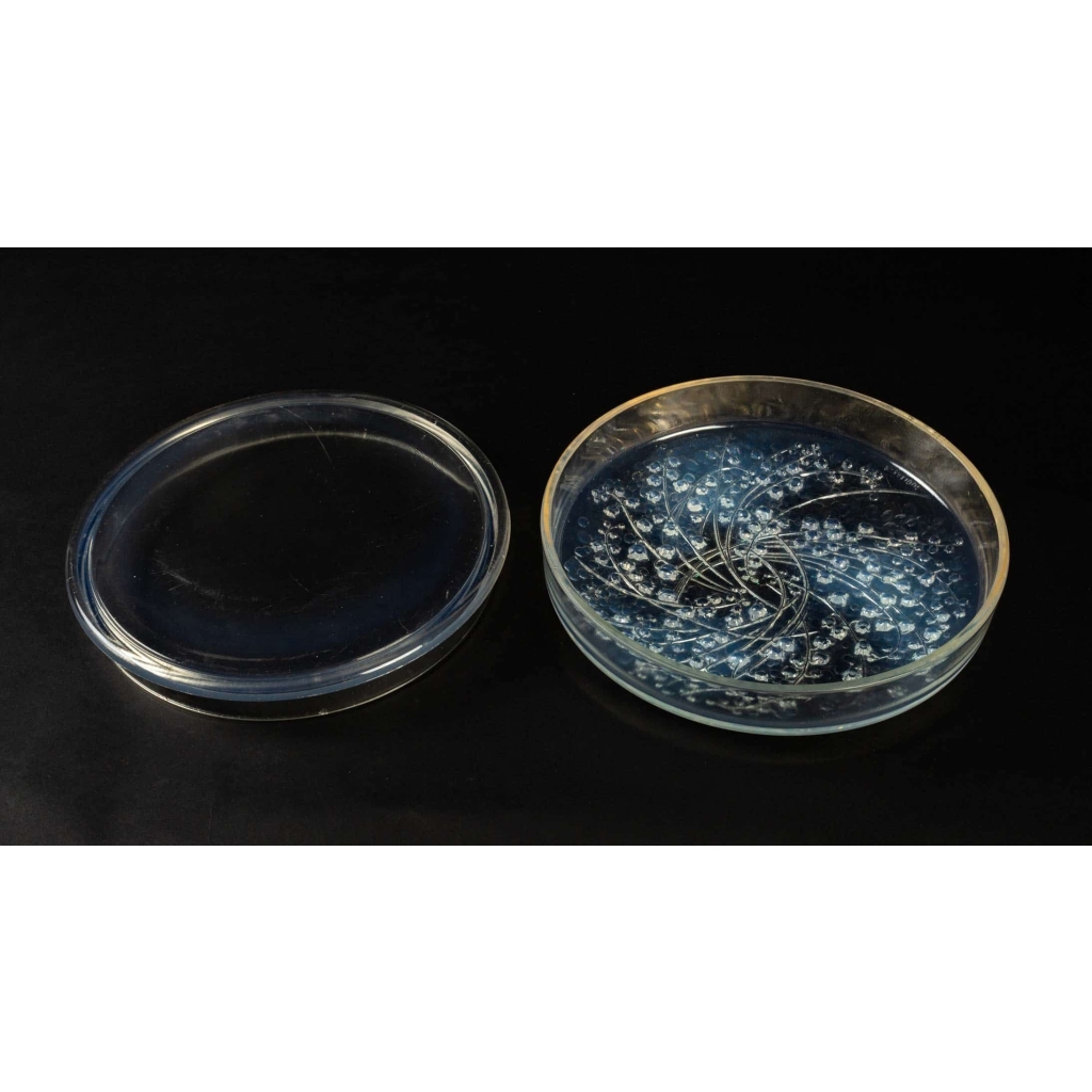 Rene Lalique : Opalescent Box « Muguets » | Biron Rene Lalique : Opalescent Box "Muguets"