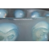 Coupe « Madagascar » verre opalescent patiné bleu de René LALIQUE