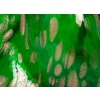 Broc vert émeraude et adventurine, Azioni Salviati and C. 1875
