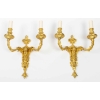 Paire d’appliques de style Louis XVI. | Biron ||||