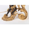 Une paire de chenets montés en lampe époque XIXe de style Napoléon III | Biron Une paire de chenets montés en lampe époque XIXe de style Napoléon III