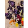 Iris dans un vase Chine. Fernand Allard l’Olivier (1883-1933)