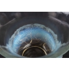 Vase « Renoncules » verre opalescent patiné gris de René LALIQUE