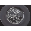 Service de 8 assiettes « Marienthal » cristal incolore de LALIQUE FRANCE d'après un modèle de René LALIQUE