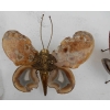 1970′Paire D’Appliques Papillon Duval Brasseur Ou Isabelle Faure Avec Ailes En Agate 20 X H 26 CM | Biron 1970′Paire D’Appliques Papillon Duval Brasseur Ou Isabelle Faure Avec Ailes En Agate 20 X H 26 CM