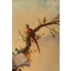 José Martorell. Le concert des oiseaux. XIX
