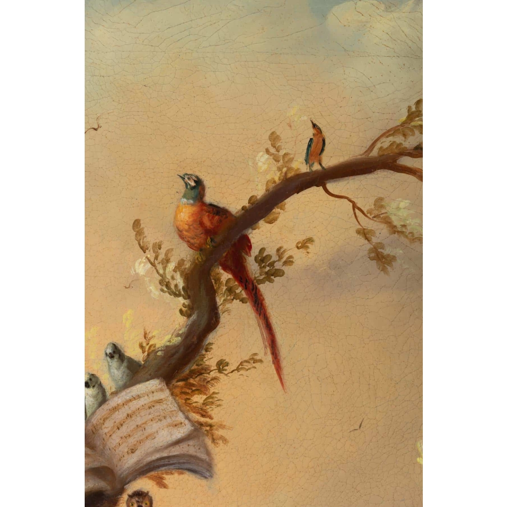 José Martorell. Le concert des oiseaux. XIX