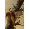 José Martorell. Le concert des oiseaux. XIX