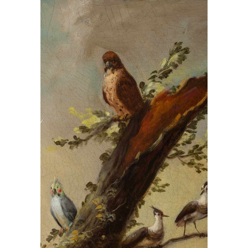 José Martorell. Le concert des oiseaux. XIX
