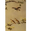 José Martorell. Le concert des oiseaux. XIX
