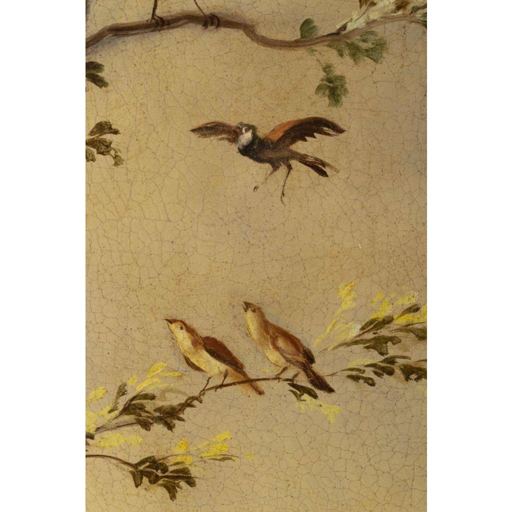 José Martorell. Le concert des oiseaux. XIX