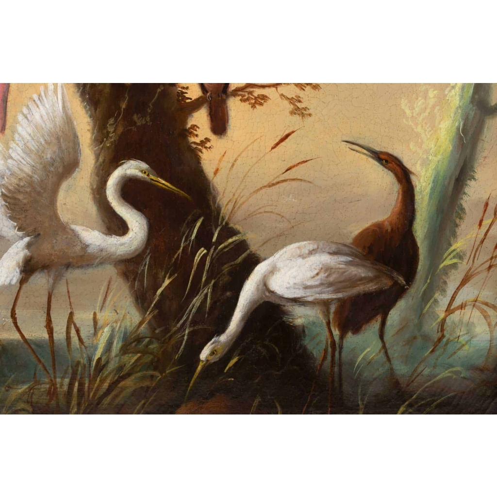 José Martorell. Le concert des oiseaux. XIX