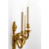 Paire d’appliques bronze béliers, XIXème | Biron Paire d'appliques bronze béliers, XIXème
