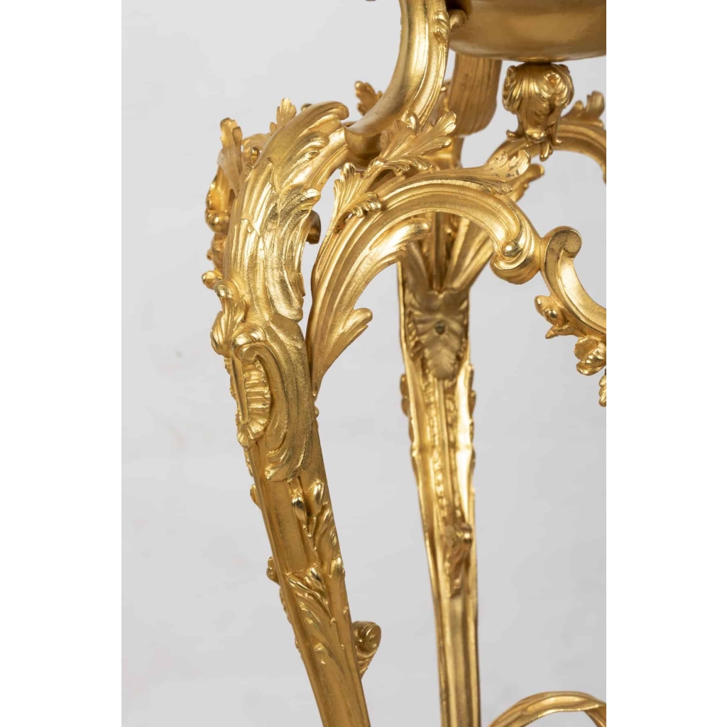 A French 19th Century Guilt and Patinated Bronze Jardinière on Stand.