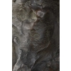 A French 19th century bronze « Le repos de venus » signed Lucas Madrassi (1849-1919). | Biron A French 19th century bronze « Le repos de venus » signed Lucas Madrassi (1849-1919).