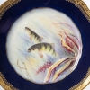 Douze Assiettes en porcelaine de Limoges à décors de poissons pour " Emile Bourgeois à Paris "XIXème