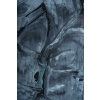 Lithographie de César encadrée, XXème | Biron Lithographie de César encadrée, XXème