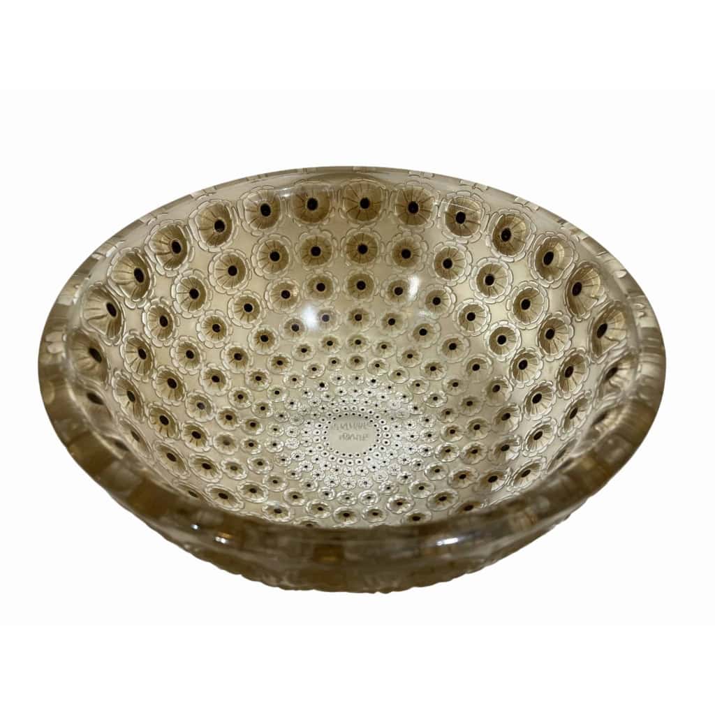 Coupe « Nemours » verre blanc émaillé noir d’origine et patiné sépia de René LALIQUE | Biron ||||||||
