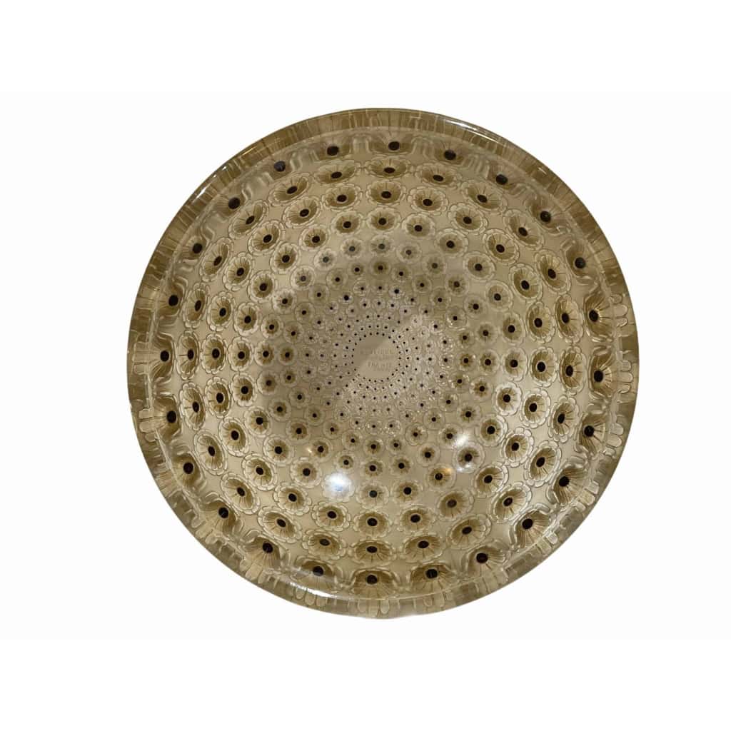 Coupe « Nemours » verre blanc émaillé noir d’origine et patiné sépia de René LALIQUE | Biron Coupe "Nemours" verre blanc émaillé noir d'origine et patiné sépia de René LALIQUE