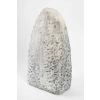 Gisèle Buthod – Garçon ( 1954 ) – secrète | Biron Gisèle Buthod - Garçon ( 1954 ) - secrète