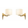Paire d’Appliques Maison Roche 1970 | Biron ||||||