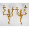 Paire d’appliques de style Louis XV. | Biron ||||