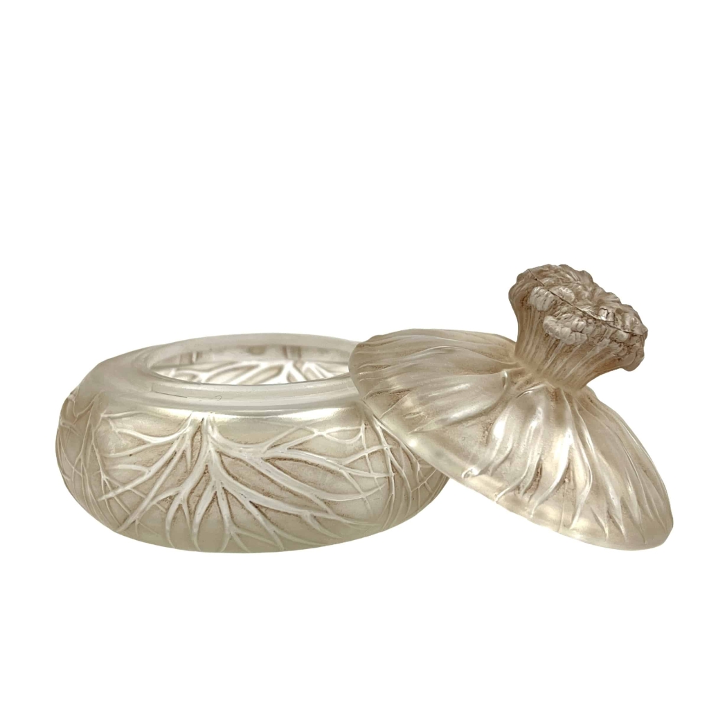 Boîte « Cheveux de Vénus » verre blanc patiné sépia de René LALIQUE | Biron Boîte « Cheveux de Vénus » verre blanc patiné sépia de René LALIQUE