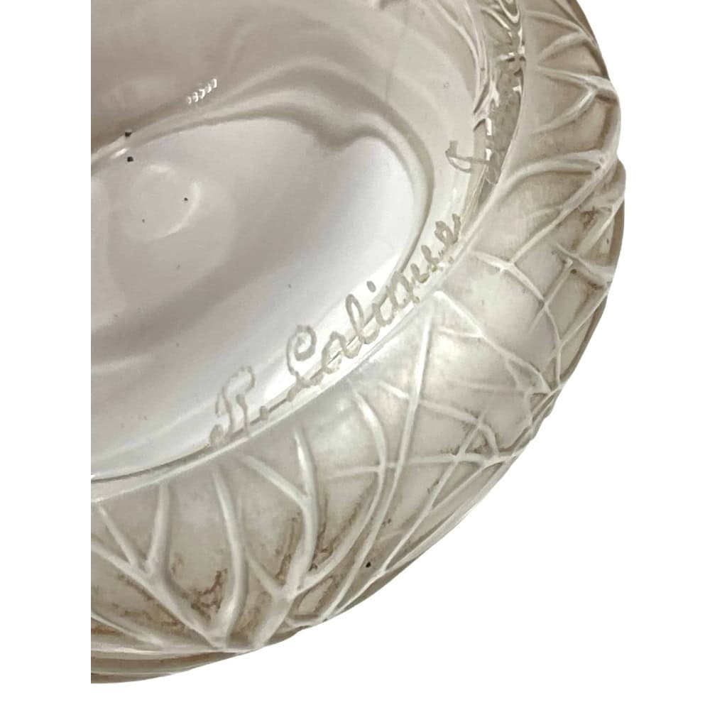 Boîte « Cheveux de Vénus » verre blanc patiné sépia de René LALIQUE | Biron Boîte « Cheveux de Vénus » verre blanc patiné sépia de René LALIQUE