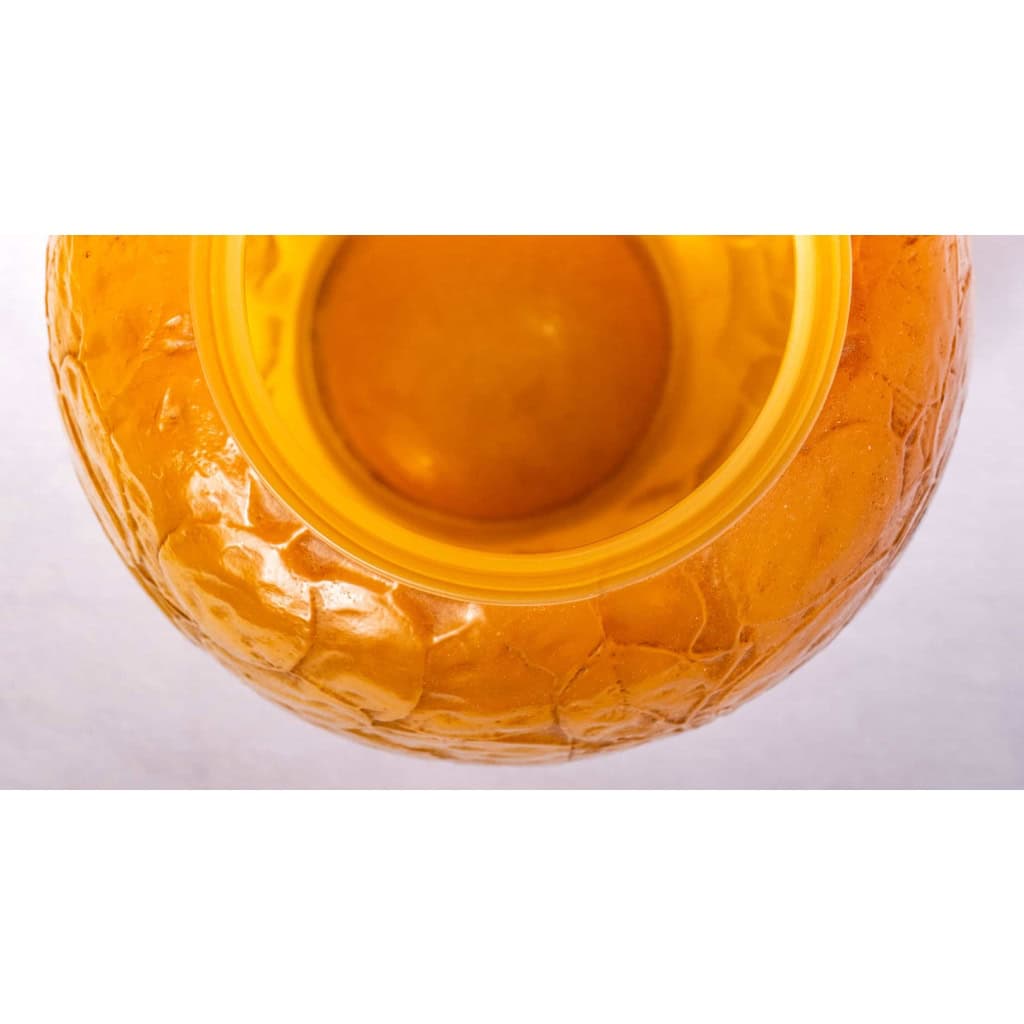 Vase « Monnaie du Pape » verre Butterscoth double couche jaune et opalescent de René LALIQUE | Biron Vase "Monnaie du Pape" verre Butterscoth double couche jaune et opalescent de René LALIQUE