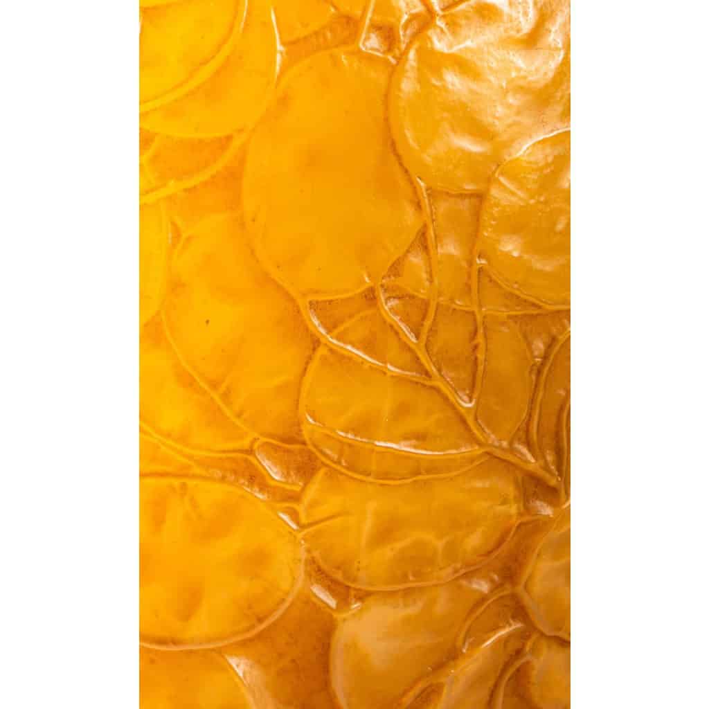 Vase « Monnaie du Pape » verre Butterscoth double couche jaune et opalescent de René LALIQUE | Biron Vase "Monnaie du Pape" verre Butterscoth double couche jaune et opalescent de René LALIQUE