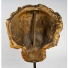 Portrait de cire de jeune femme, XXème | Biron Portrait de cire de jeune femme, XXème